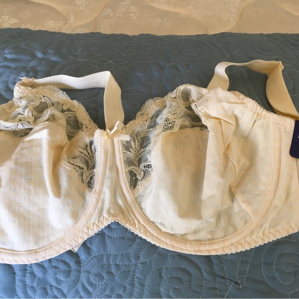 Prima Donna bra